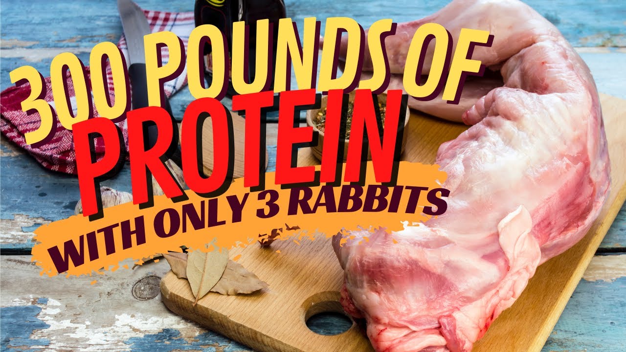Rabbit meat per pound pricing and benefits explained 1 rabbit meat per pound